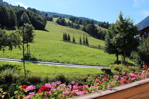 Forsthof (Sankt Johann im Pongau)